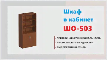 Шкаф для офиса ШО-503. Купить мебель в кабинет в Калининграде и области